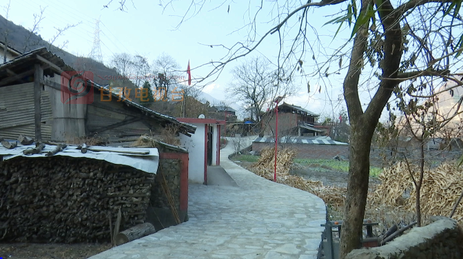 种植果树致富_农村种植果树致富好项目_院子种植致富果