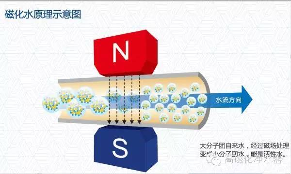 火鸡养多少天下蛋_火鸡养殖技术几月下蛋_火鸡养殖多久下蛋