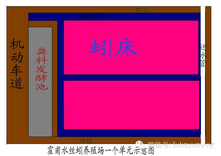 养殖蚯蚓无技术怎么办_养殖蚯蚓需要什么手续_无蚯蚓养殖技术