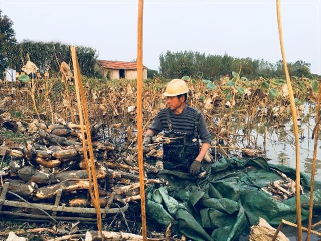 招主播有无经验均可_无需经验高薪聘主播_急聘优质主播有无经验均可