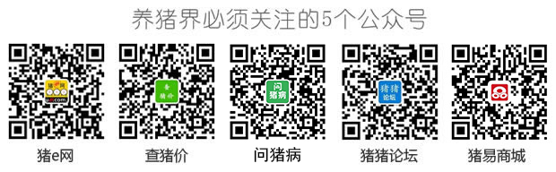 重庆农村80后女孩：养猪两年赚到500万