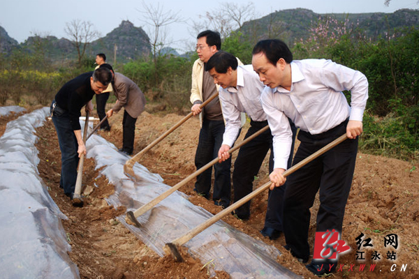 周德睿在江永检查指导烤烟生产（图）