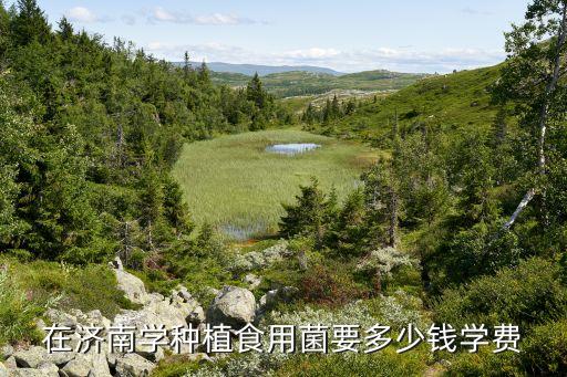 在济南学种植食用菌要多少钱学费