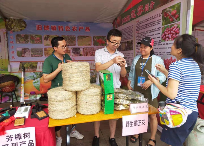 种植剑麻收益如何_种植剑麻的条件_种植剑麻 致富