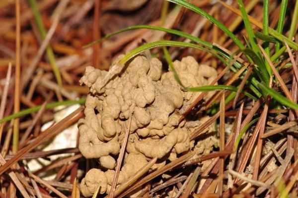 中央致富经在哪个频道_中央7套种植致富经全集_中央台致富节目有哪些