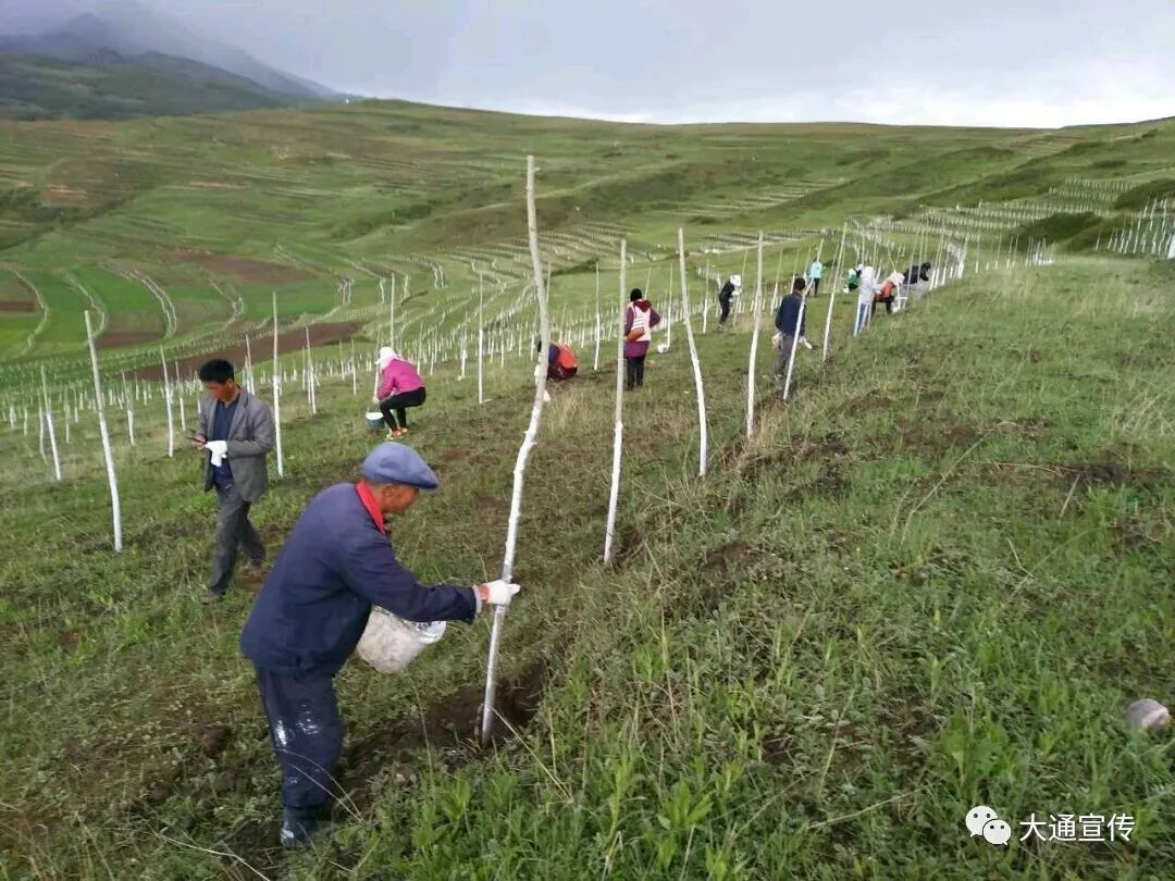 农村致富项目养殖_农村致富新项目养殖_养殖致富项目大寨