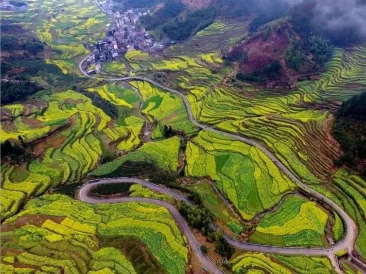 致富经浙江_浙江种植致富麦_致富经种植亩收入过亿