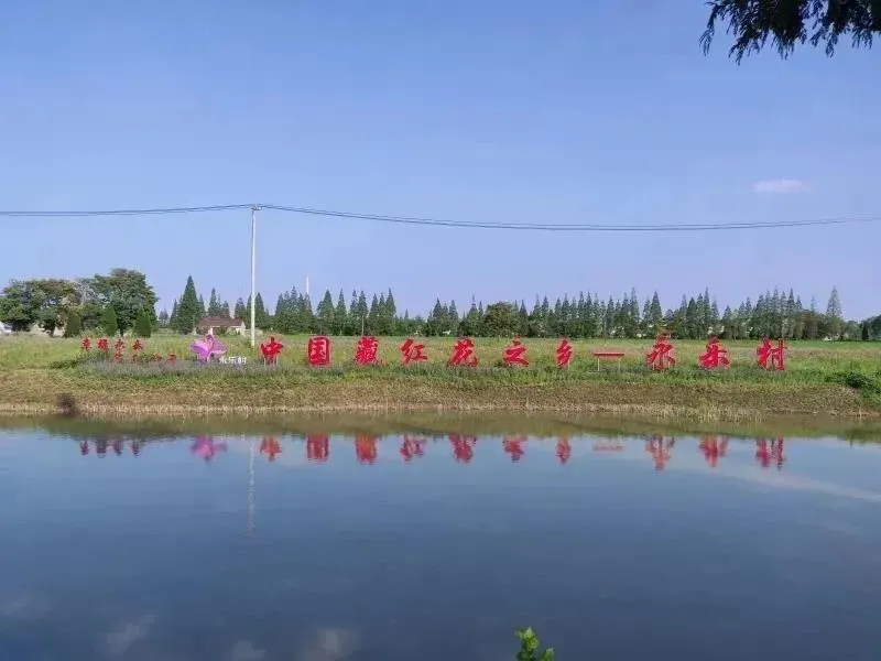 种植红掌致富_致富种植红掌图片_红掌种植成本