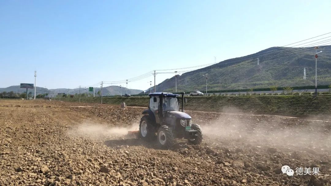 果园种植基地_致富种植果园图片_果园种植致富