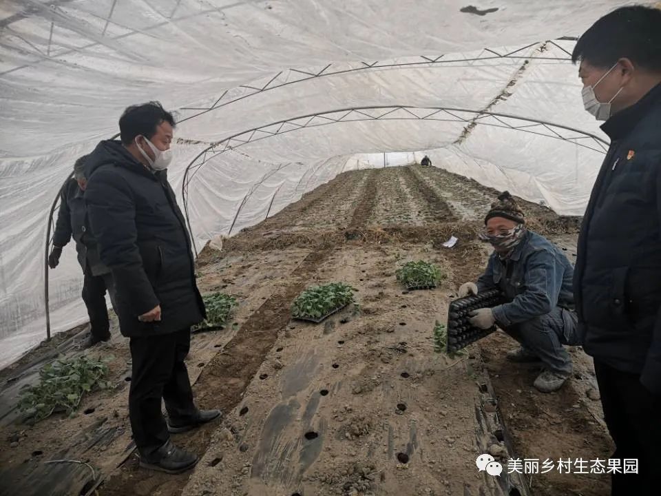 致富种植果园图片_果园种植致富_致富种植果园怎么样