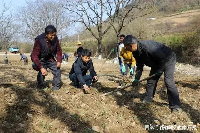 中央十七农业农村致富经养蜂_致富经cctv7养蜂视频_中央七套致富经养蜂