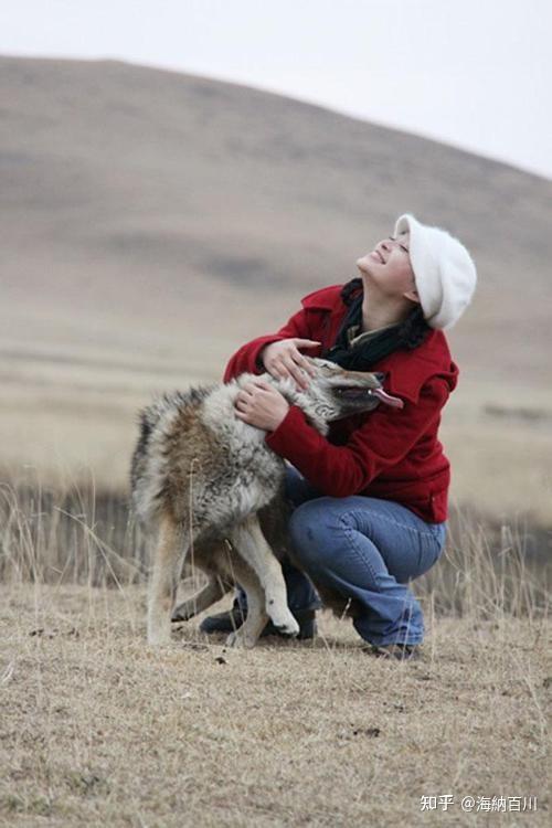 富人养狼_致富经养犬视频全集_致富经养狼