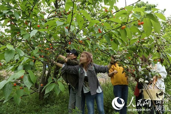 致富经江龙视频_无腿硬汉养羊致富视频_致富故事会视频全集