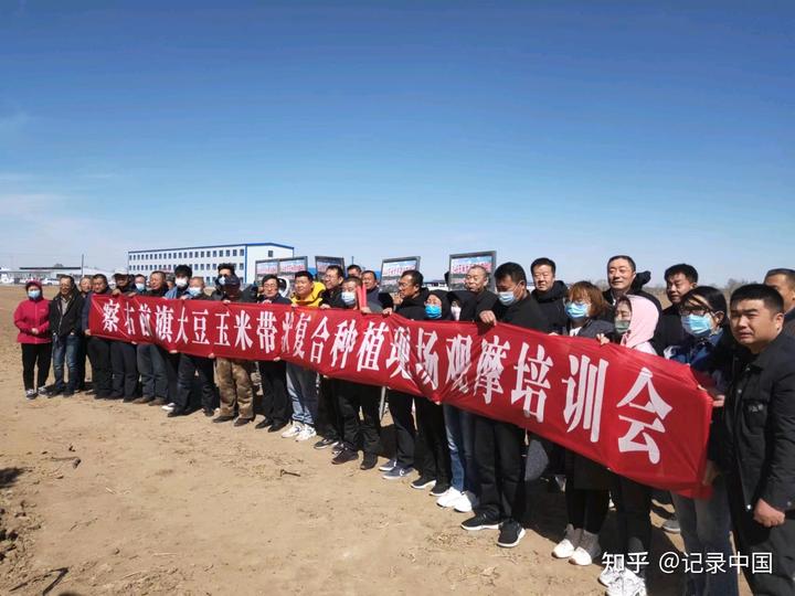 内蒙古乌兰察布市察右前旗大豆玉米带状复合种植现场观摩会召开