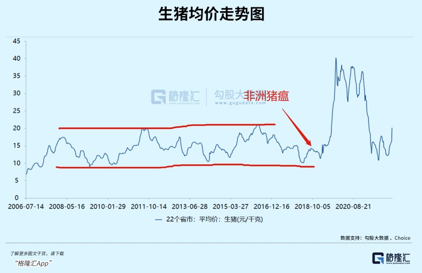 致富经养猪创业视频_致富创业网养殖猪场_猪养殖致富案例