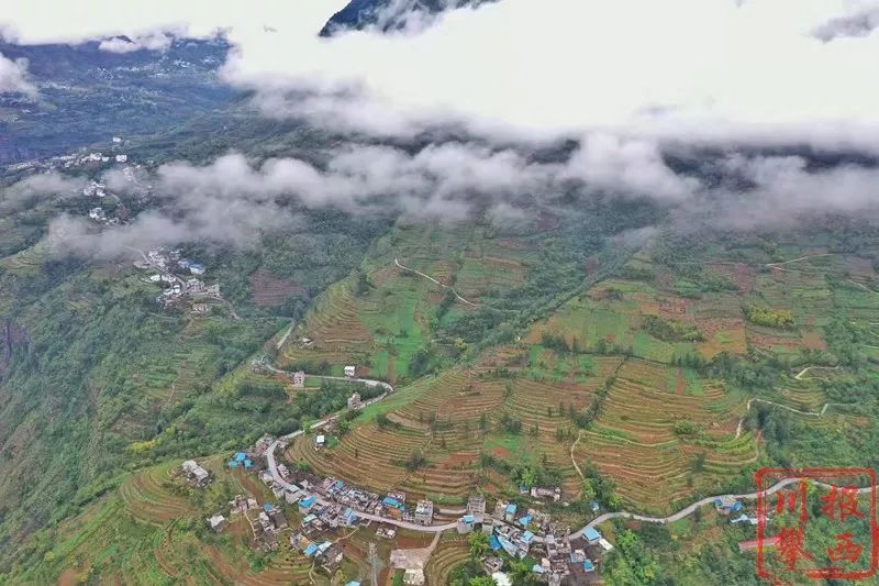 雷波脐橙种植致富_雷波脐橙生长环境_雷波脐橙苗木多少钱一棵