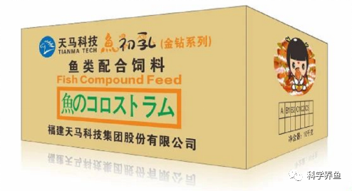 珍珠龙胆石斑鱼最新收购价格_珍珠龙胆石斑鱼养殖技术_珍珠龙胆石斑鱼养殖利润