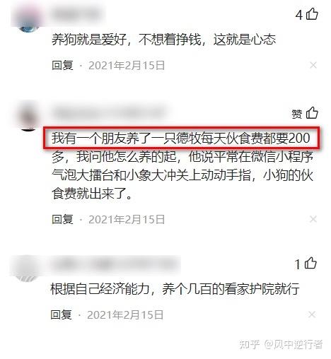 养狗养殖场视频致富经_致富项目养狗_养殖狗致富