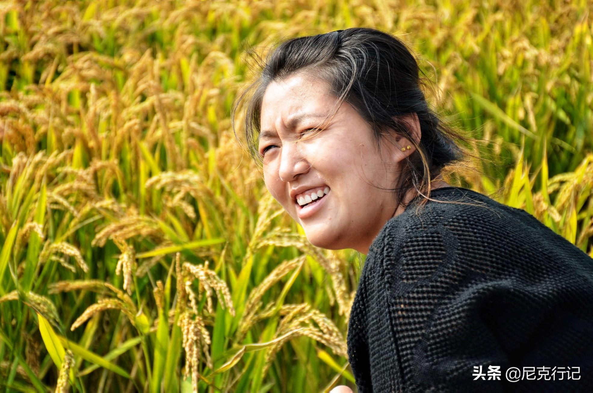 辽宁盘锦稻蟹苗养殖技术_盘锦稻蟹养殖基地_盘锦稻田蟹养殖