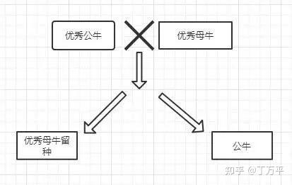 致富经黄牛养殖技术_黄牛养殖致富经视频_致富养殖黄牛技术怎么样