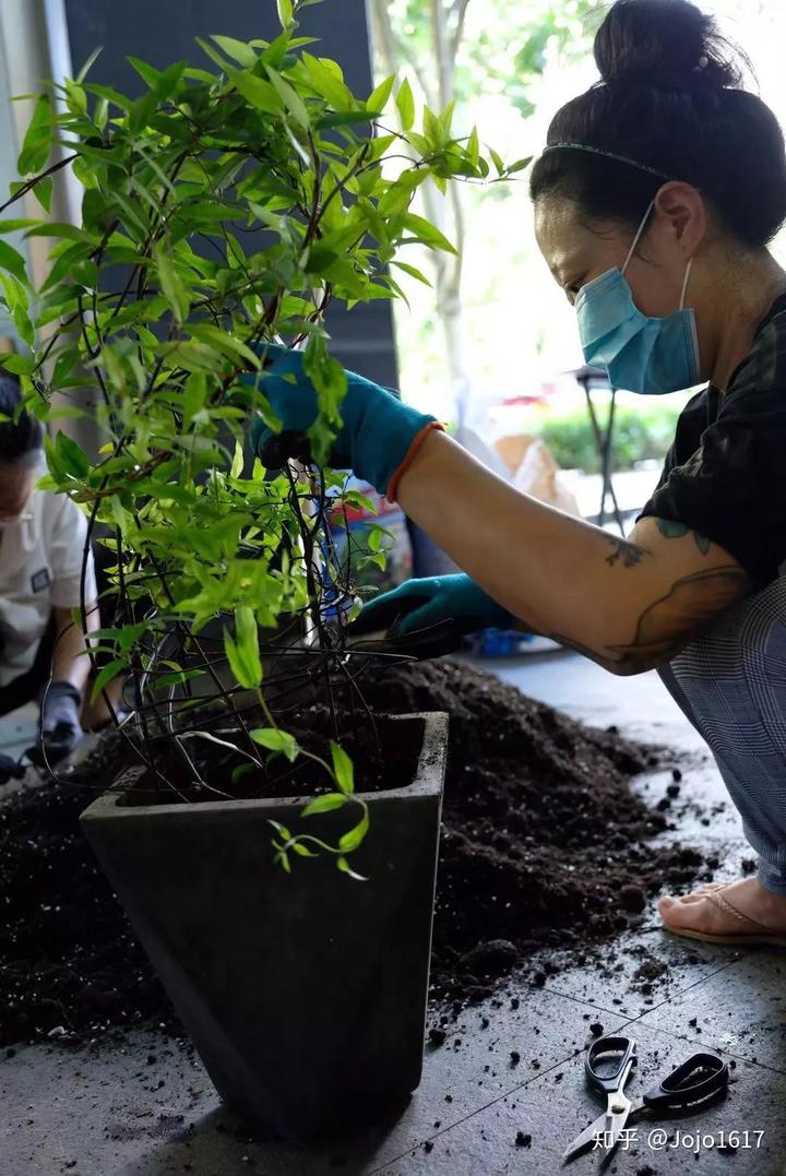 种植花卉致富_种花致富选什么品种_种植花草怎么致富