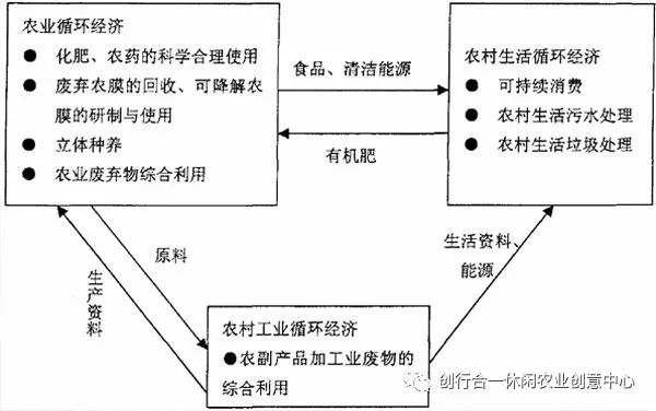 致富经农村种植_农村致富项目种植_农村循环种植致富