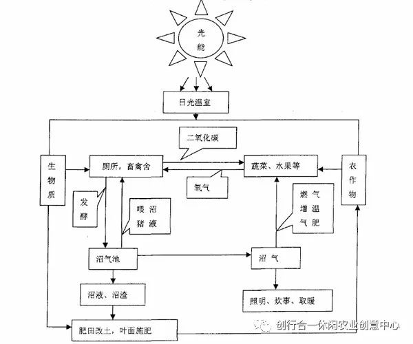 农村致富项目种植_致富经农村种植_农村循环种植致富