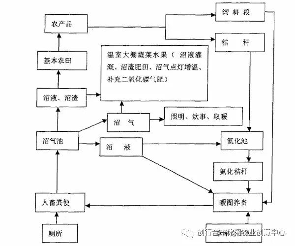 农村致富项目种植_农村循环种植致富_致富经农村种植