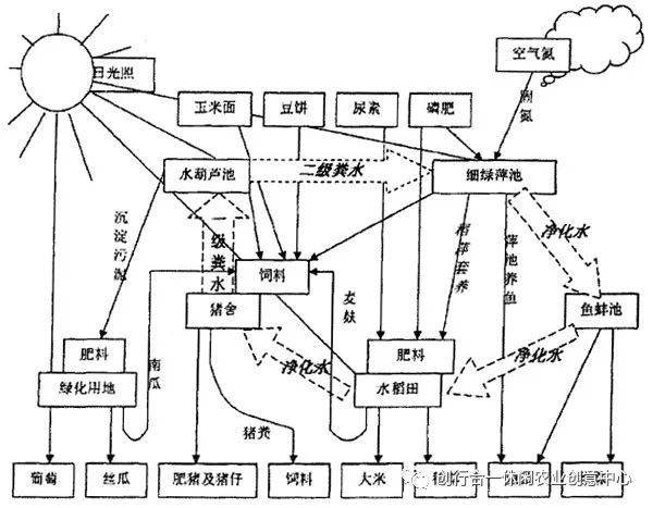 农村循环种植致富_农村致富项目种植_致富经农村种植