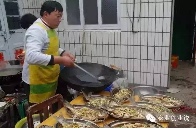 致富项目农村致富_致富经农村宴席_农村致富饮食项目