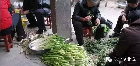 致富项目农村致富_农村致富饮食项目_致富经农村宴席