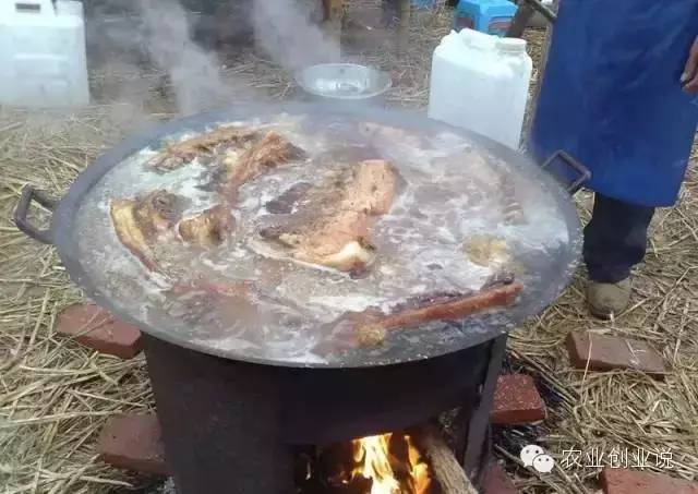 致富项目农村致富_农村致富饮食项目_致富经农村宴席