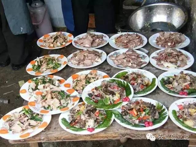 致富项目农村致富_致富经农村宴席_农村致富饮食项目