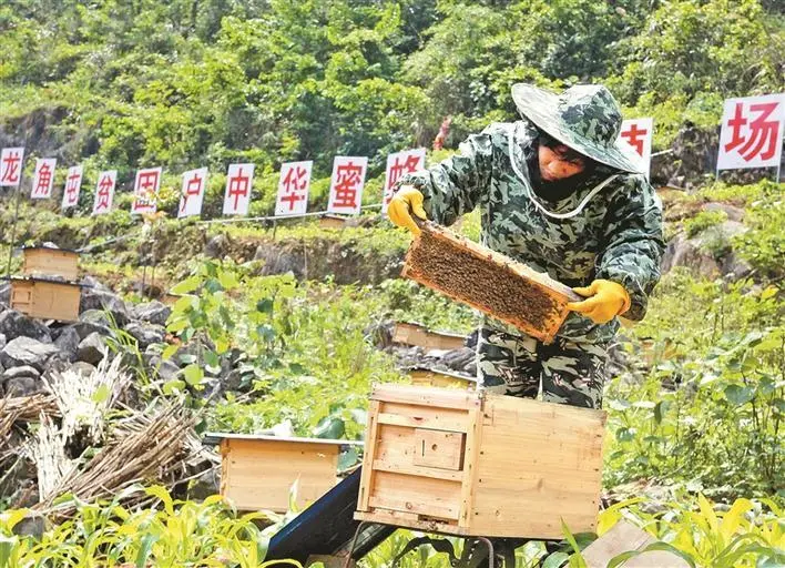 致富养殖深圳项目招标_致富养殖业_深圳养殖致富项目