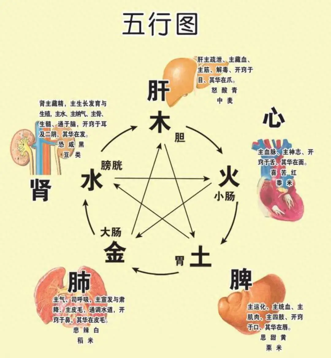 揭秘中医秘方：结节、囊肿、增生、肿瘤、息肉，6种经典中...