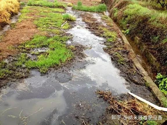 种植致富新项目_致富种植趋势图_种植致富的趋势