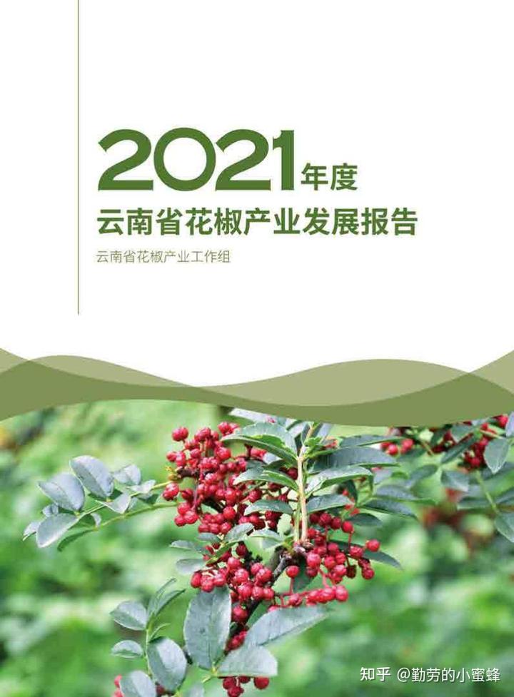 2021年度云南省花椒产业发展报告