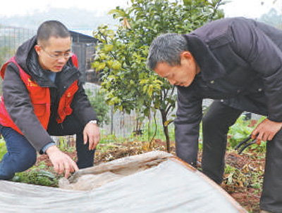 莲藕种植技术视频播放_种植莲藕的视频_cctv莲藕种植技术视频