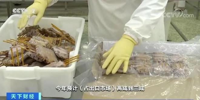 致富经养鳗鱼视频_致富经鳗鱼养殖视频_鳗鱼致富经