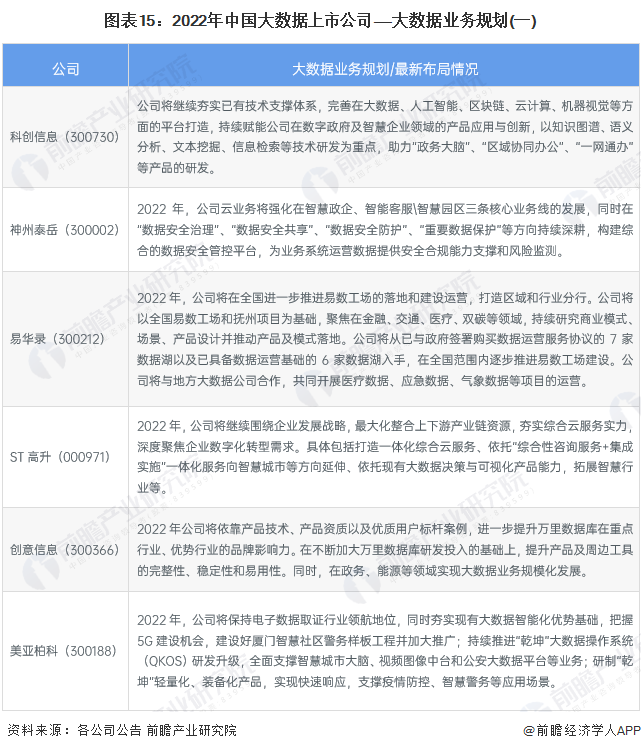 图表15：2022年中国大数据上市公司——大数据业务规划(一)