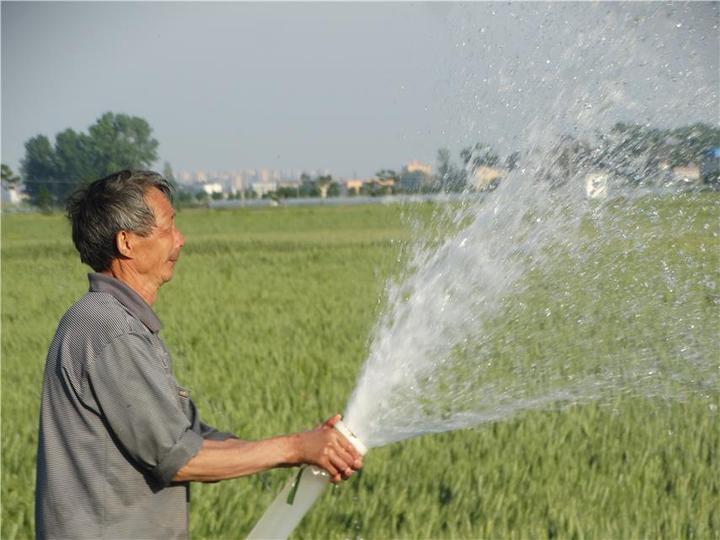 叉尾水花大量死亡是什么原因_叉尾养殖模式_叉尾鮰水花养殖技术