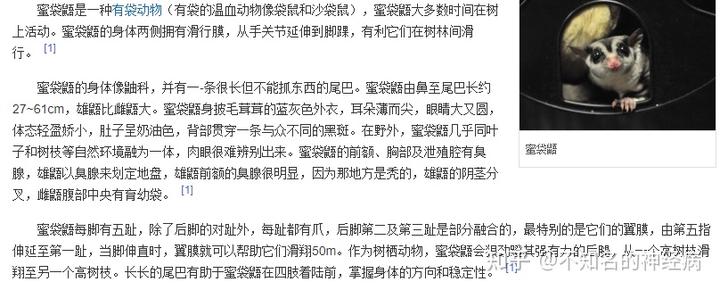 水蛭的养殖技术视频_养殖水蛭最新技术_水蛭养殖技术视频技术视