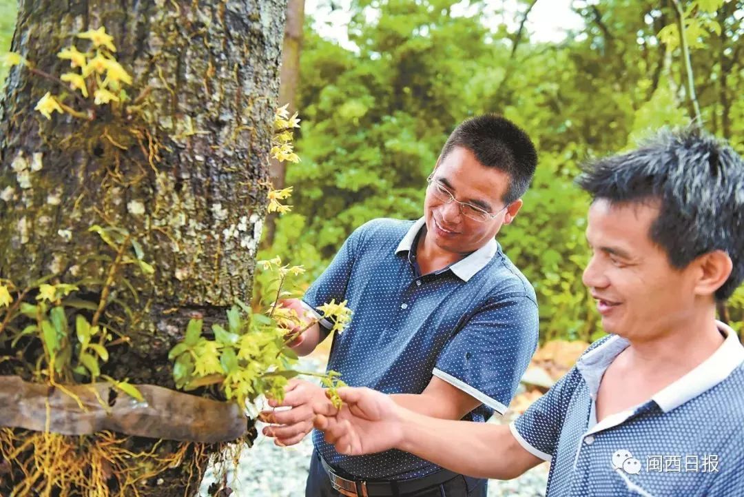 林蛙养殖效益_林蛙养殖成就致富梦_致富经林蛙养殖视频