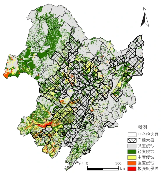 麻雀养殖致富渠道_麻雀养殖致富渠道_麻雀养殖致富渠道