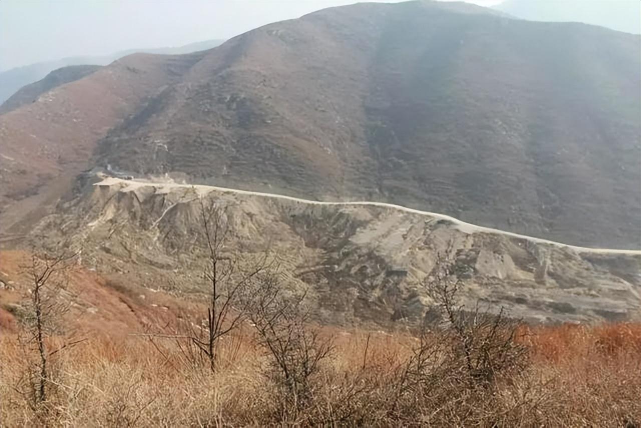 荒山种植什么赚钱_荒山致富项目_荒山种植什么致富