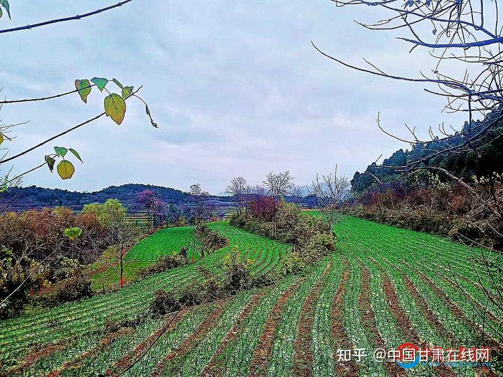 致富养殖能手奖状怎么写_致富养殖能手奖状模板_养殖致富能手奖状