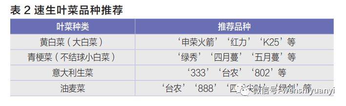 视频致富种植地膜怎么做_视频致富种植地膜是真的吗_地膜种植致富视频