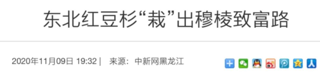 癌症养殖致富项目_癌症致富养殖项目有哪些_致富商机好项目创业商机好项目