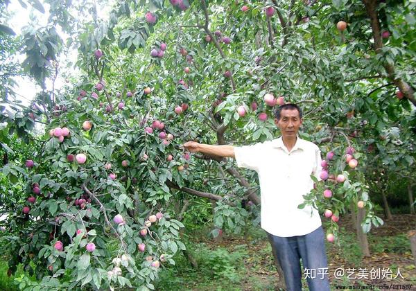 致富养殖泥巴项目介绍_泥巴地养猪好吗_泥巴养殖致富项目