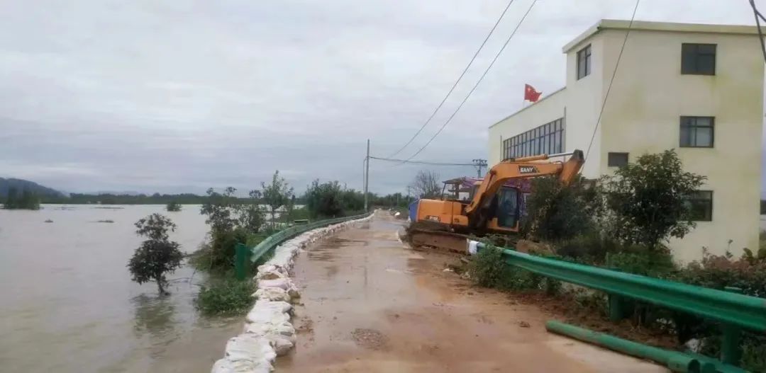 致富经野鸭养殖_野鸭致富经视频_致富经鸭子养殖视频